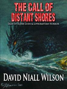 The Call of Distant Shores Read online