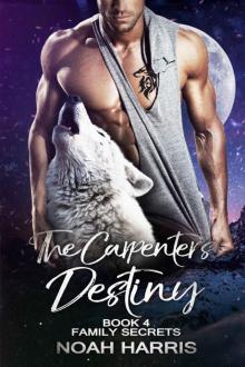 The Carpenter's Destiny_Family Secrets Read online