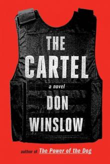 The Cartel: A Novel Read online
