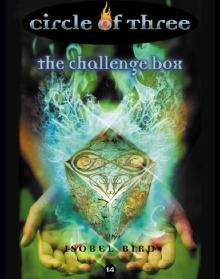 The Challenge Box Read online