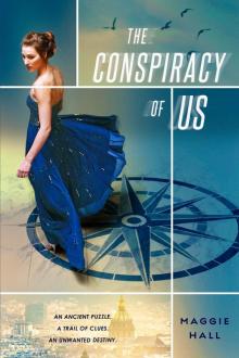The Conspiracy of Us Read online