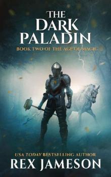 The Dark Paladin Read online