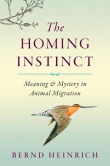 The Homing Instinct Read online