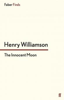 The Innocent Moon Read online