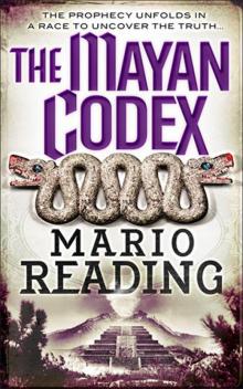 The Mayan Codex Read online