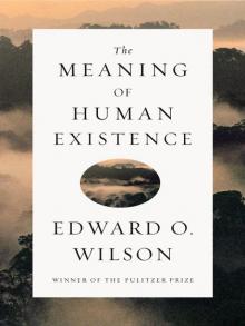 The Meaning of Human Existence Read online