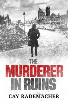 The Murderer in Ruins Read online