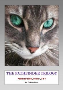 The Pathfinder Trilogy