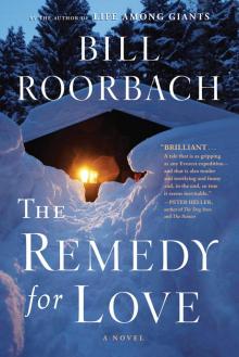 The Remedy for Love Read online