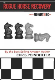 The Rogue Horse Recovery: Book One of the Recovery and Marine Salvage Inc Series (Recovery and Marine Salvage, Inc.)