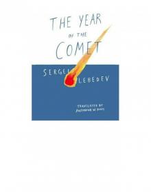 The Year of the Comet Read online