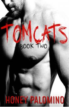 TOMCATS [BOOK TWO] Read online