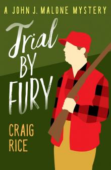 Trial by Fury Read online