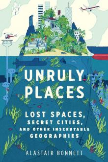 Unruly Places: Lost Spaces, Secret Cities, and Other Inscrutable Geographies Read online
