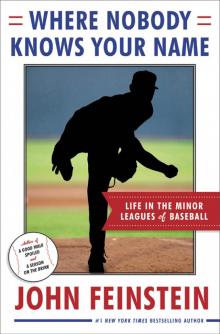 Where Nobody Knows Your Name: Life In the Minor Leagues of Baseball Read online