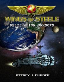 Wings of Steele - Destination Unknown (Book 1) Read online