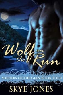 Wolf on the Run: Shifter romance (Shifters of the Glen Book 4) Read online