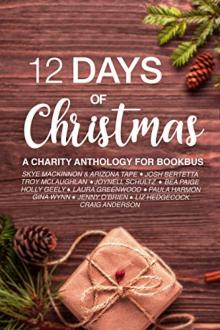 12 Days of Christmas: A Christmas Collection Read online