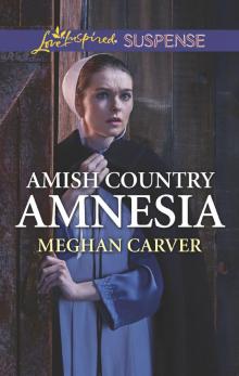 Amish Country Amnesia Read online