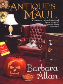 Antiques Maul: A Trash 'n' Treasures Mystery Read online
