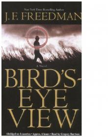 Bird's-Eye View Read online