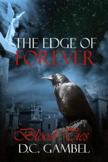 Blood Ties (The Edge of Forever Book 2) Read online