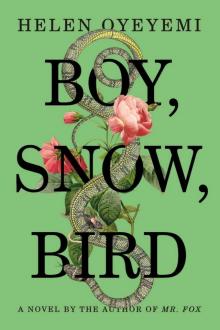 Boy, Snow, Bird: A Novel Read online