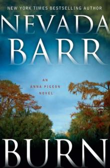 Burn: An Anna Pigeon Novel (Anna Pigeon Mysteries) Read online