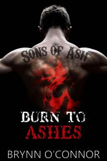 Burn to Ashes