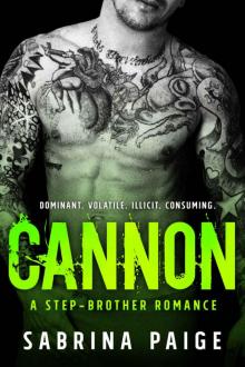 Cannon (A Step Brother Romance #3) Read online