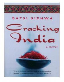 Cracking India Read online