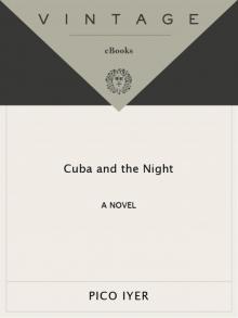 Cuba and the Night Read online
