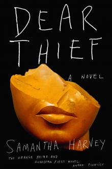 Dear Thief: A Novel Read online