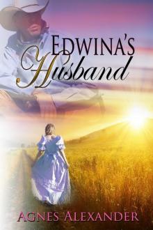 Edwina's Husband Read online