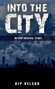 EMP Crash (Book 4): Into The City Read online