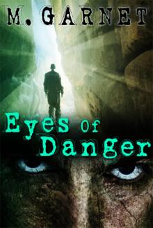 Eyes Of Danger Read online