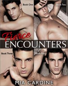 Fierce Encounters Series (Contemporary Romance) Complete Collection Read online