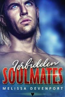 Forbidden Soulmates_A Steamy Hot Revenge Romance Read online