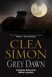 Grey Dawn Read online