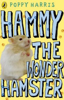 Hammy the Wonder Hamster Read online