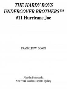 Hurricane Joe Read online