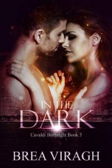 In the Dark (Cavaldi Birthright Book 3) Read online