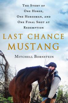 Last Chance Mustang Read online