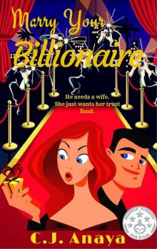 Marry Your Billionaire: A Modern Cinderella
