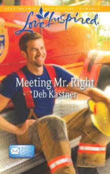Meeting Mr. Right Read online