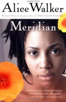 Meridian (1976) Read online