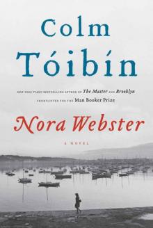 Nora Webster: A Novel Read online