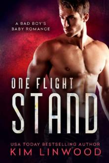 One Flight Stand: A Bad Boy's Baby Romance Read online