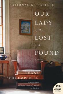 Our Lady of the Lost and Found Read online