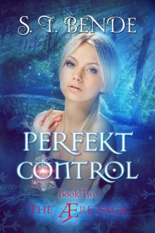 Perfekt Control (The Ære Saga Book 2) Read online